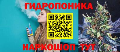 крисы Ижевск
