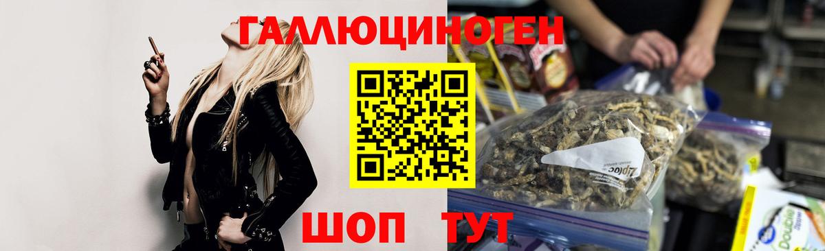 Псилоцибиновые грибы мухоморы  Галлюциногенные грибы мицелий  магазин продажи наркотиков  Вход с VPN  Владивосток 